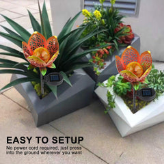 Solar Glow Lantern