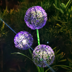 Dandelion Garden Lights