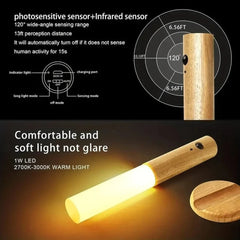 Motion Sensor Lamp